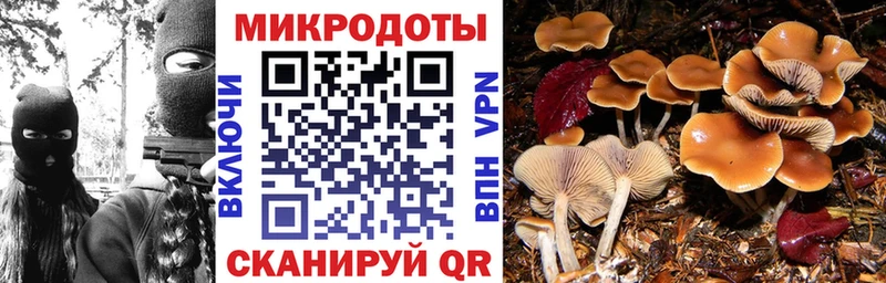 blacksprut ссылка  Уяр  Галлюциногенные грибы Psilocybine cubensis  хочу наркоту 